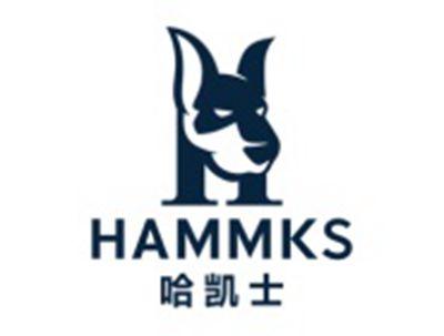 哈凯士
HAMMKS