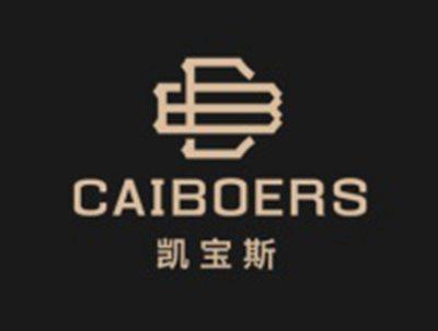 凯宝斯
CAIBOERS