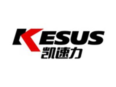 凯速力
KESUS