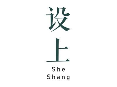 设上