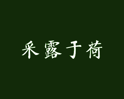 采露于荷