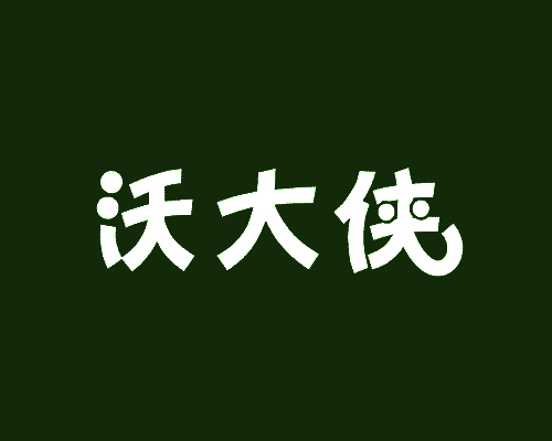 沃大侠