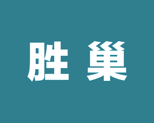 胜巢