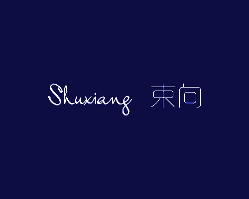 束向