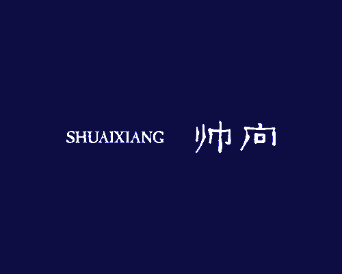 帅向