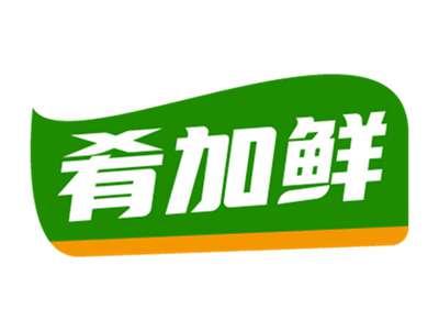 肴加鲜