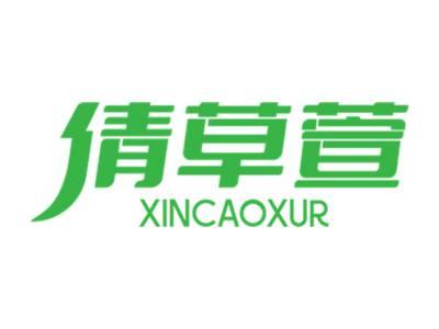 倩草萱XINCAOXUR