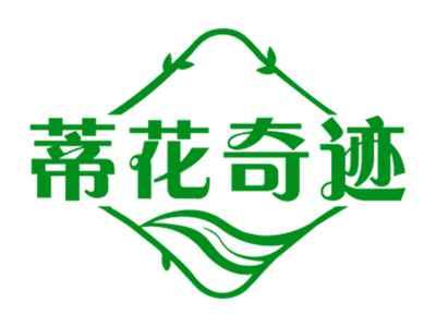蒂花奇迹
