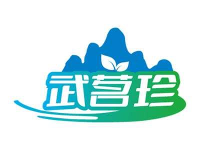 武茗珍