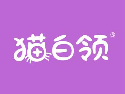 猫白领