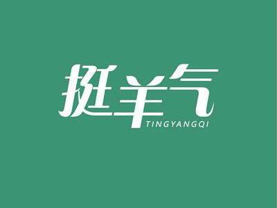 挺羊气TINGYANGQI