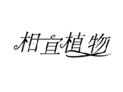 相宜植物