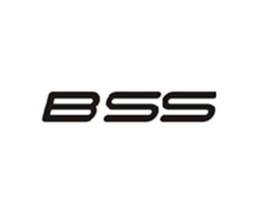 BSS