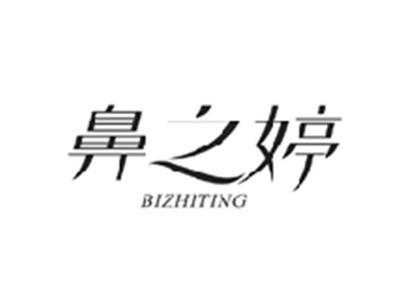 鼻之婷BIZHITING