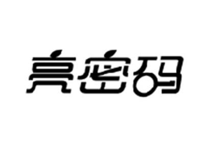 亮密码
