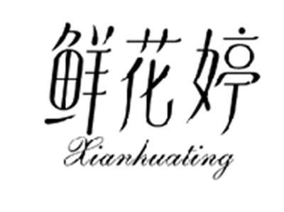 鲜花婷XIANHUATING