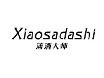 潇洒大师XIAOSADASHI