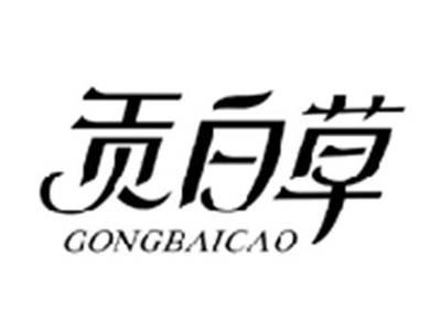 贡白草GONGBAICAO