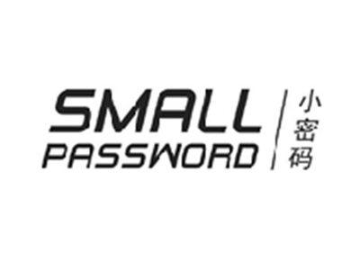 小密码SMALL PASSWORD