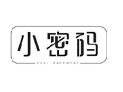 小密码SMALL PASSWORD