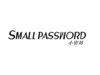 小密码SMALL PASSWORD