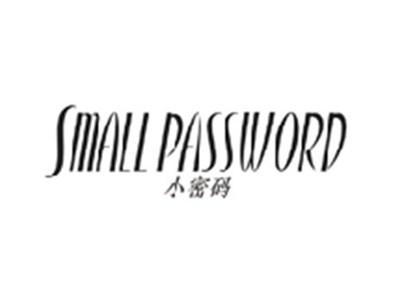 小密码SMALL PASSWORD