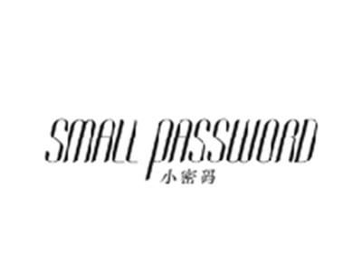 小密码SMALL PASSWORD