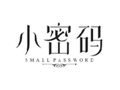 小密码SMALL PASSWORD