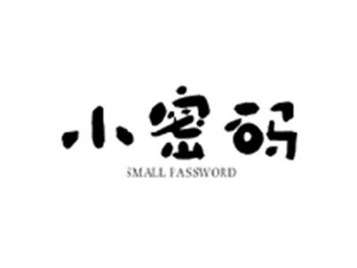 小密码SMALL PASSWORD