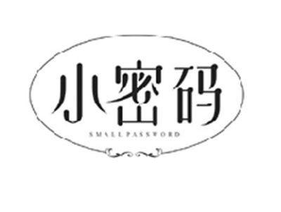 小密码SMALL PASSWORD