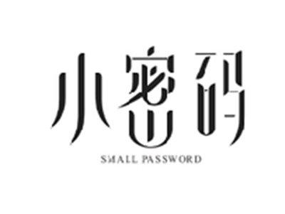 小密码SMALL PASSWORD