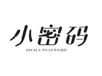 小密码SMALL PASSWORD