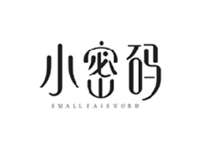 小密码SMALL PASSWORD