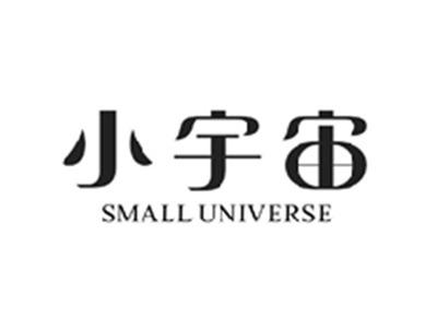 小宇宙SMALL UNIVERSE