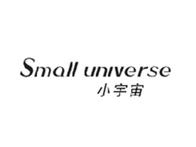 小宇宙SMALL UNIVERSE