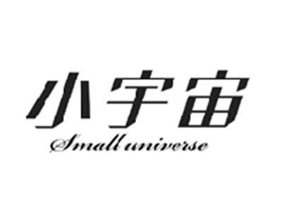 小宇宙SMALL UNIVERSE