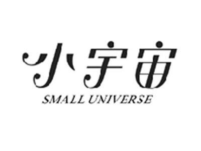 小宇宙SMALL UNIVERSE