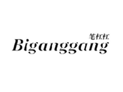 笔杠杠BIGANGGANG