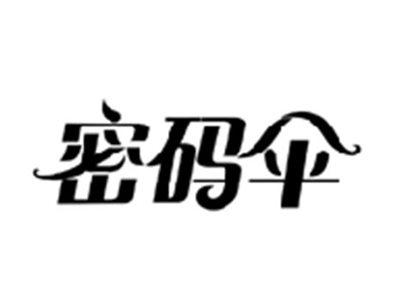 密码伞