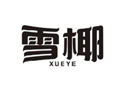 雪椰XUEYE