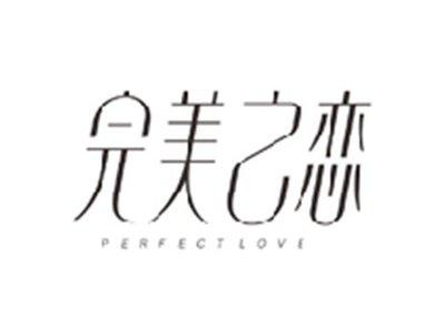 完美之恋PERFECT LOVE