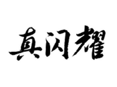 真闪耀