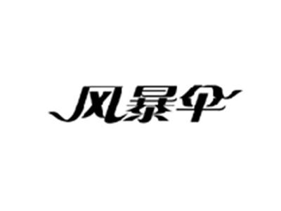风暴伞