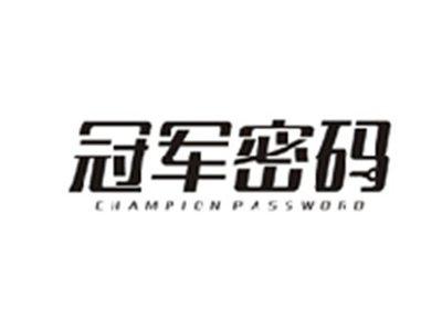 冠军密码CHAMPION PASSWORD