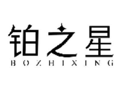 铂之星BOZHIXING
