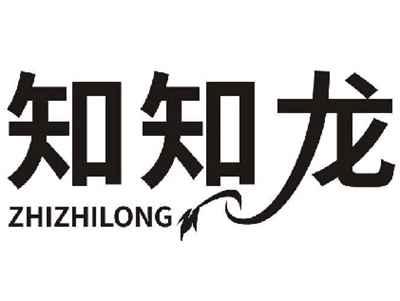 知知龙ZHIZHILONG