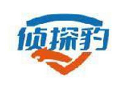 侦探豹