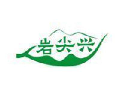 岩尖兴