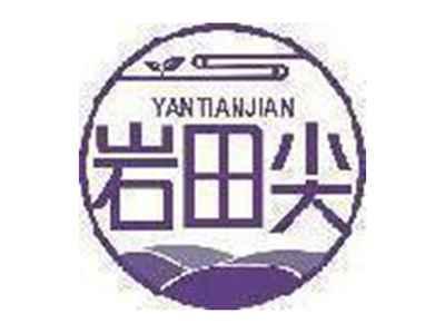 岩田尖