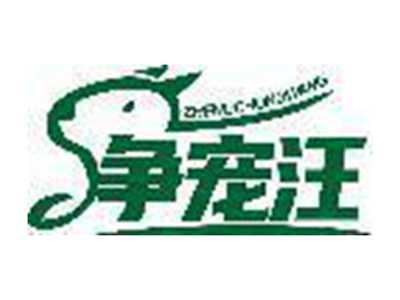 争宠汪